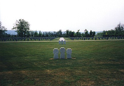 View larger image View larger image