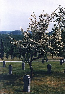 View larger image View larger image