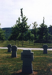 View larger image View larger image