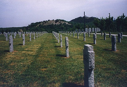 View larger image View larger image