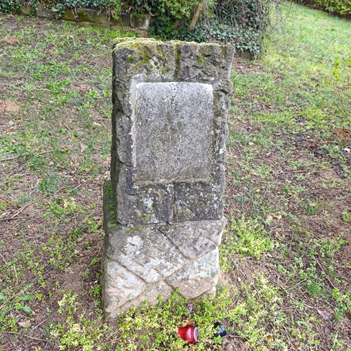 View larger image View larger image