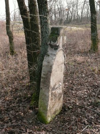 View larger image View larger image