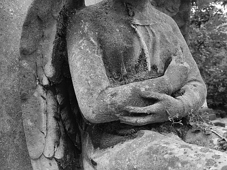 View larger image View larger image