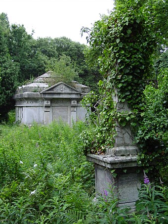 View larger image View larger image