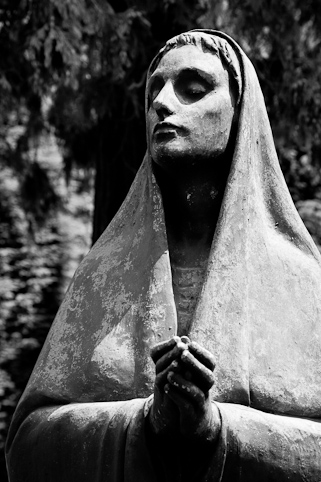 View larger image View larger image