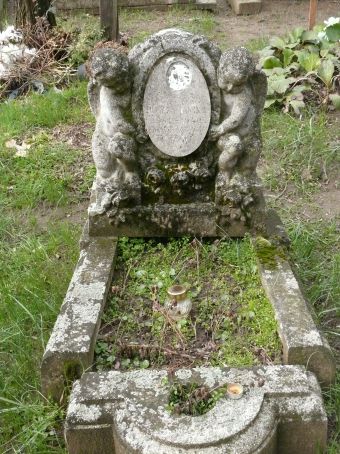 View larger image View larger image