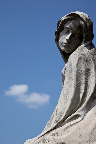 View larger image View larger image