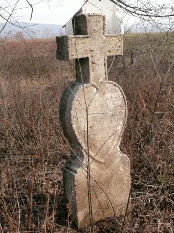 View larger image View larger image