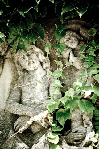 View larger image View larger image