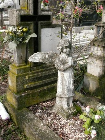 View larger image View larger image