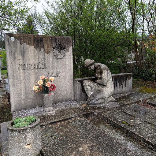 View larger image View larger image