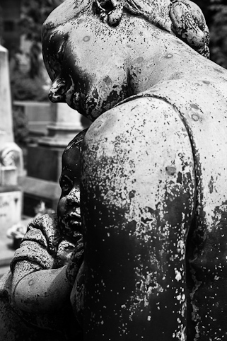 View larger image View larger image