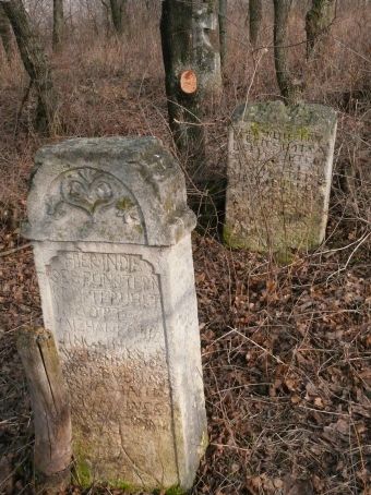 View larger image View larger image