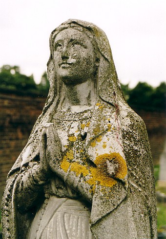 View larger image View larger image