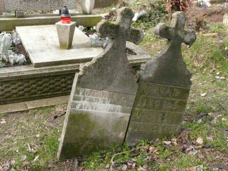 View larger image View larger image