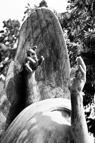 View larger image View larger image