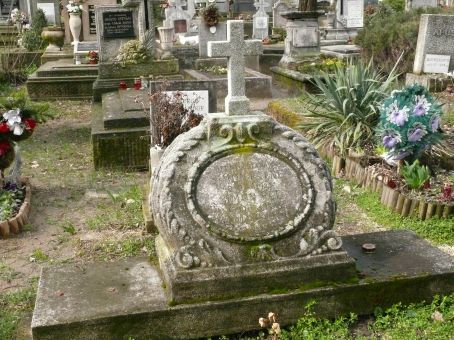 View larger image View larger image