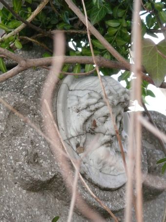 View larger image View larger image