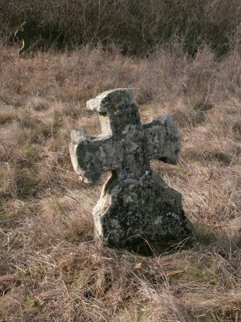 View larger image View larger image