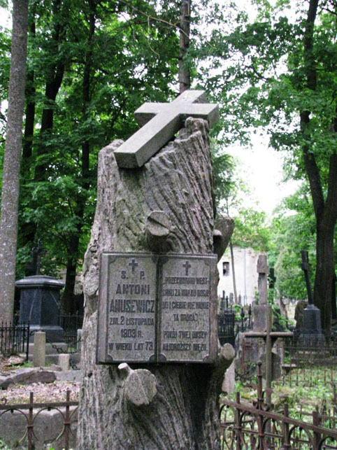 View larger image View larger image