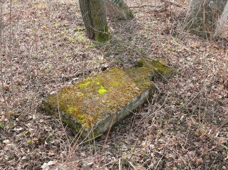 View larger image View larger image