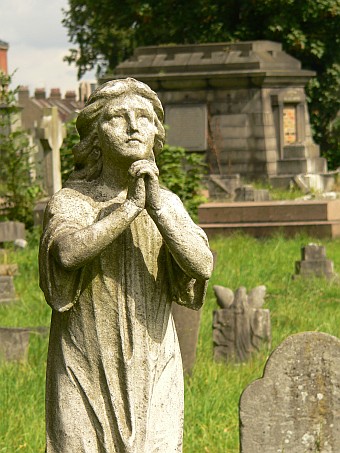 View larger image View larger image