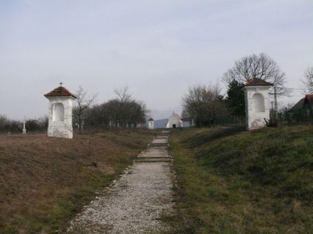 View larger image View larger image