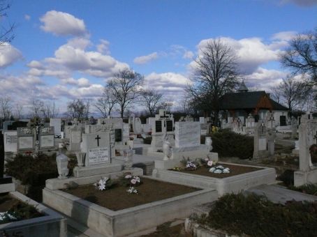 View larger image View larger image