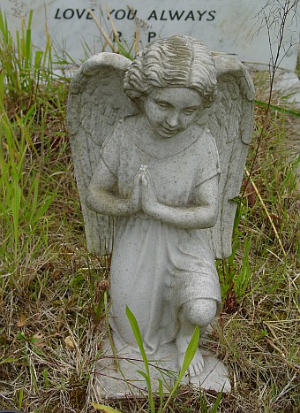 View larger image View larger image