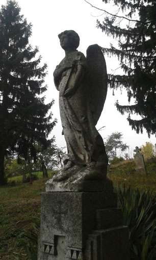 View larger image View larger image