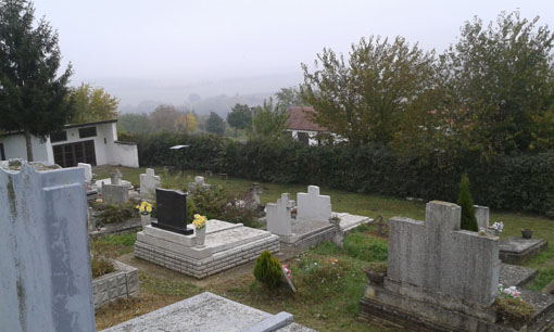 View larger image View larger image