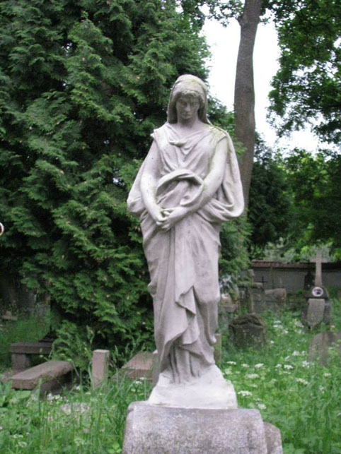 View larger image View larger image