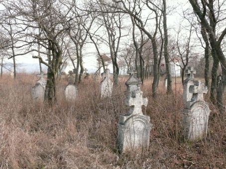 View larger image View larger image