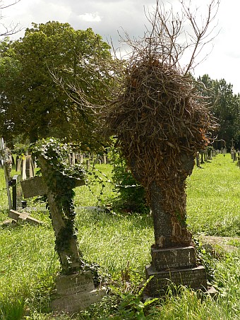 View larger image View larger image