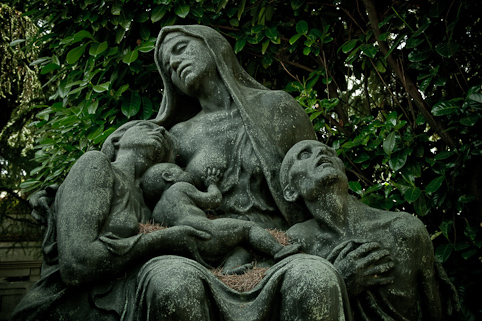 View larger image View larger image