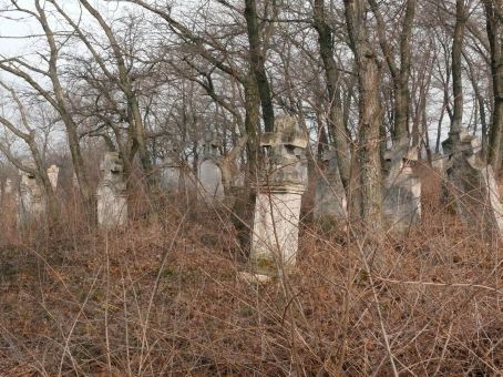 View larger image View larger image