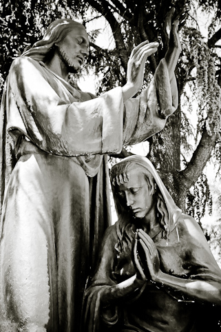 View larger image View larger image