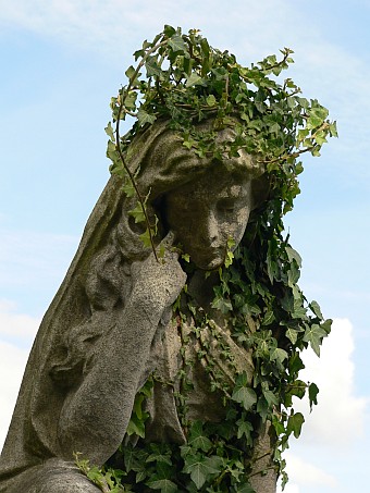 View larger image View larger image