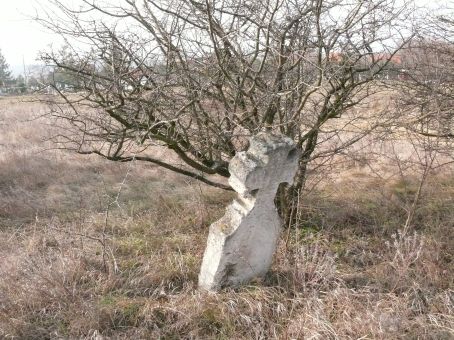 View larger image View larger image