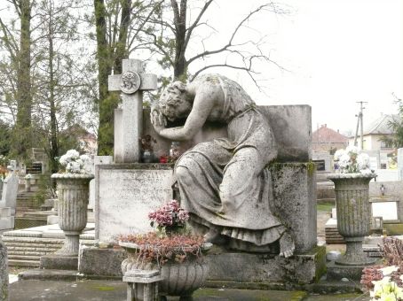 View larger image View larger image