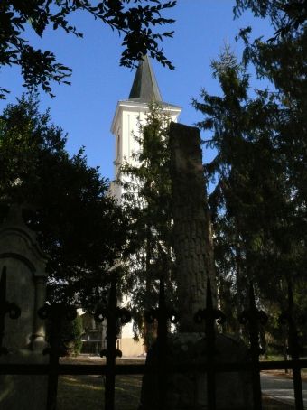 View larger image View larger image