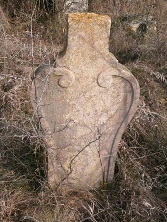 View larger image View larger image