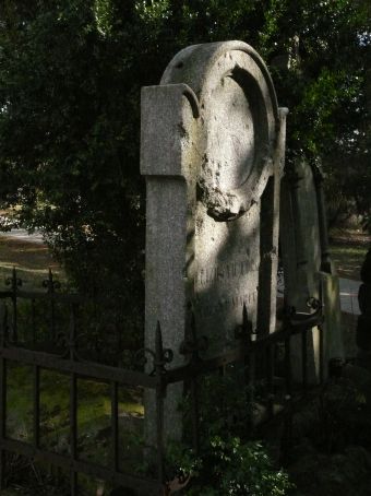 View larger image View larger image