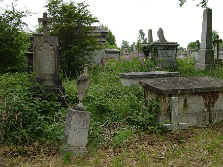 View larger image View larger image