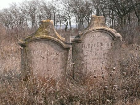 View larger image View larger image