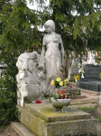 View larger image View larger image