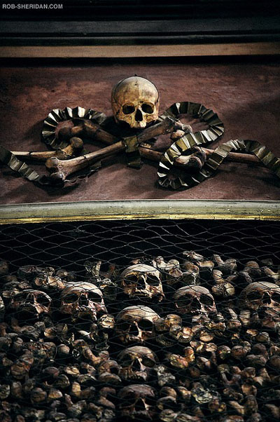 View larger image View larger image