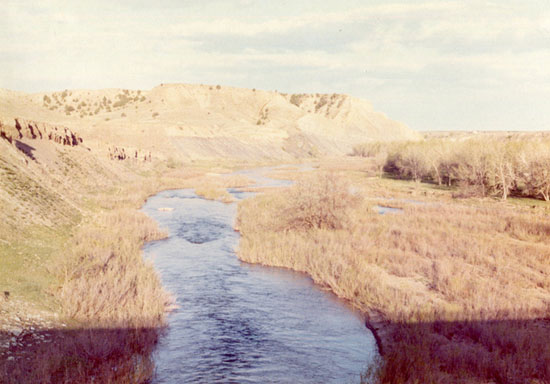 View larger image View larger image