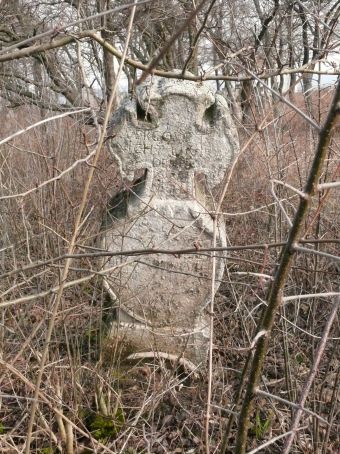 View larger image View larger image