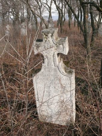 View larger image View larger image